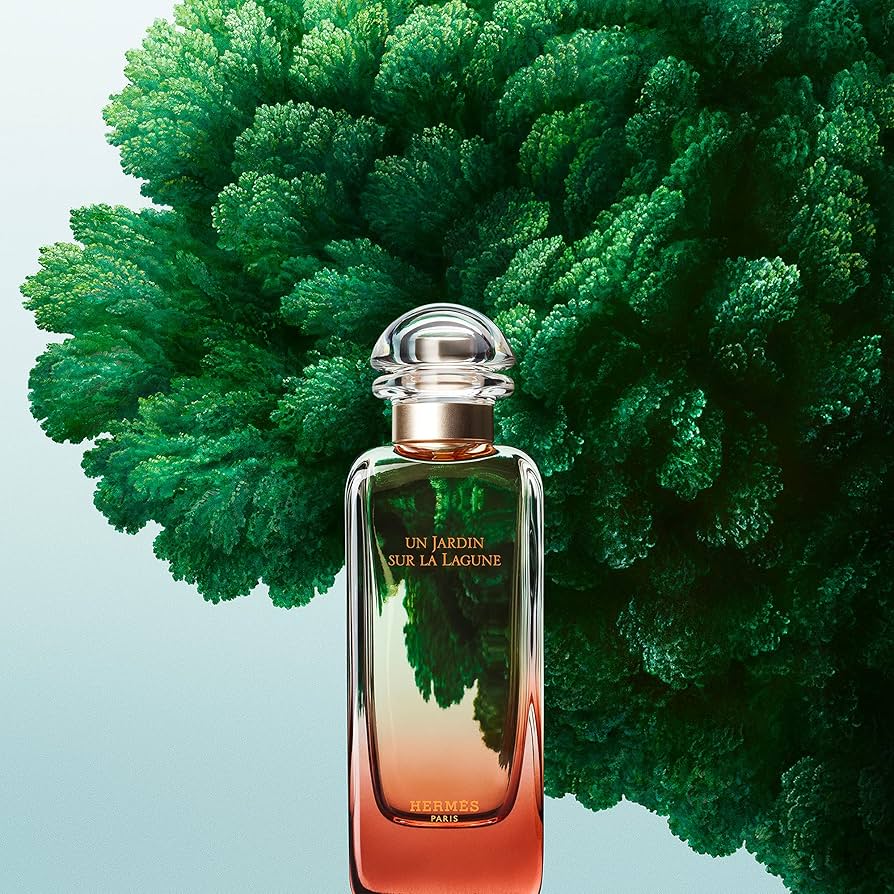 HERMES PARFUMS エルメス ラグーナの庭 オードトワレ 100ml Amazon