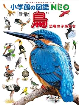 小学館の図鑑NEO〔新版〕鳥 | 柚木修, 水谷高英, 上田恵介 | ノン