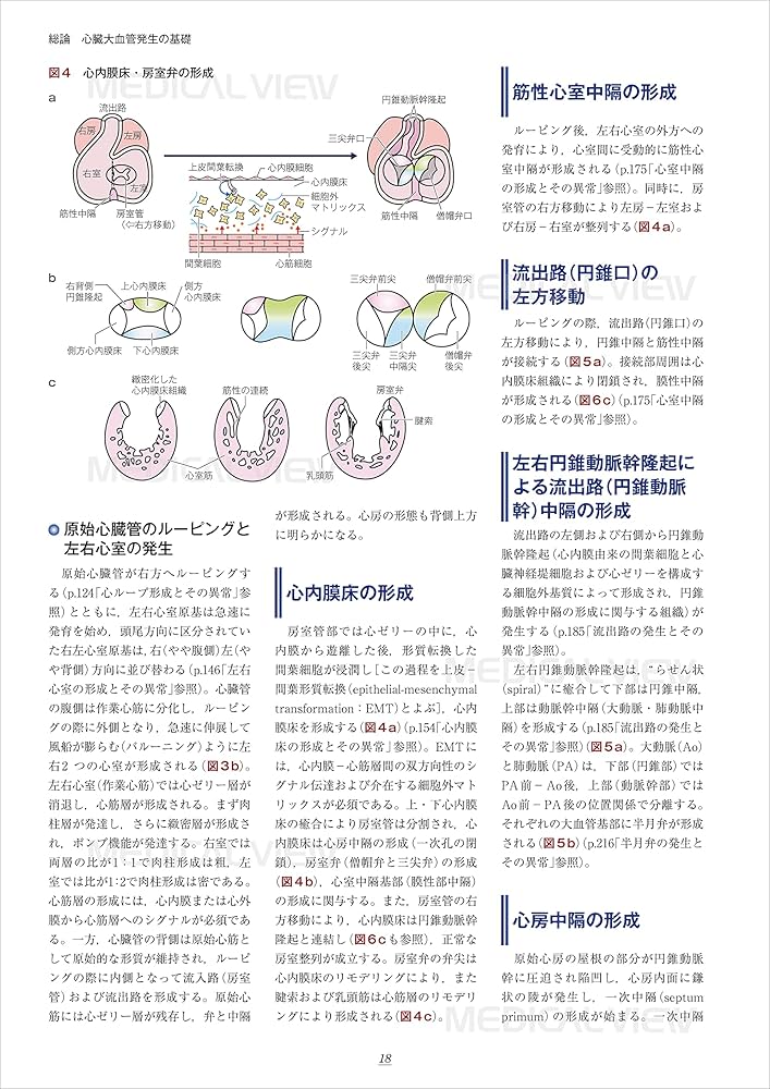 新 先天性心疾患を理解するための臨床心臓発生学 | 山岸 敬幸, 白石 公
