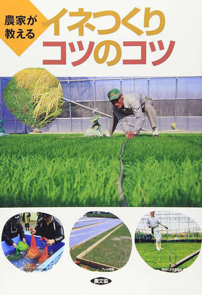 イラストみんなの農業教室 4 水稲の増収技術 送料無料 イラスト