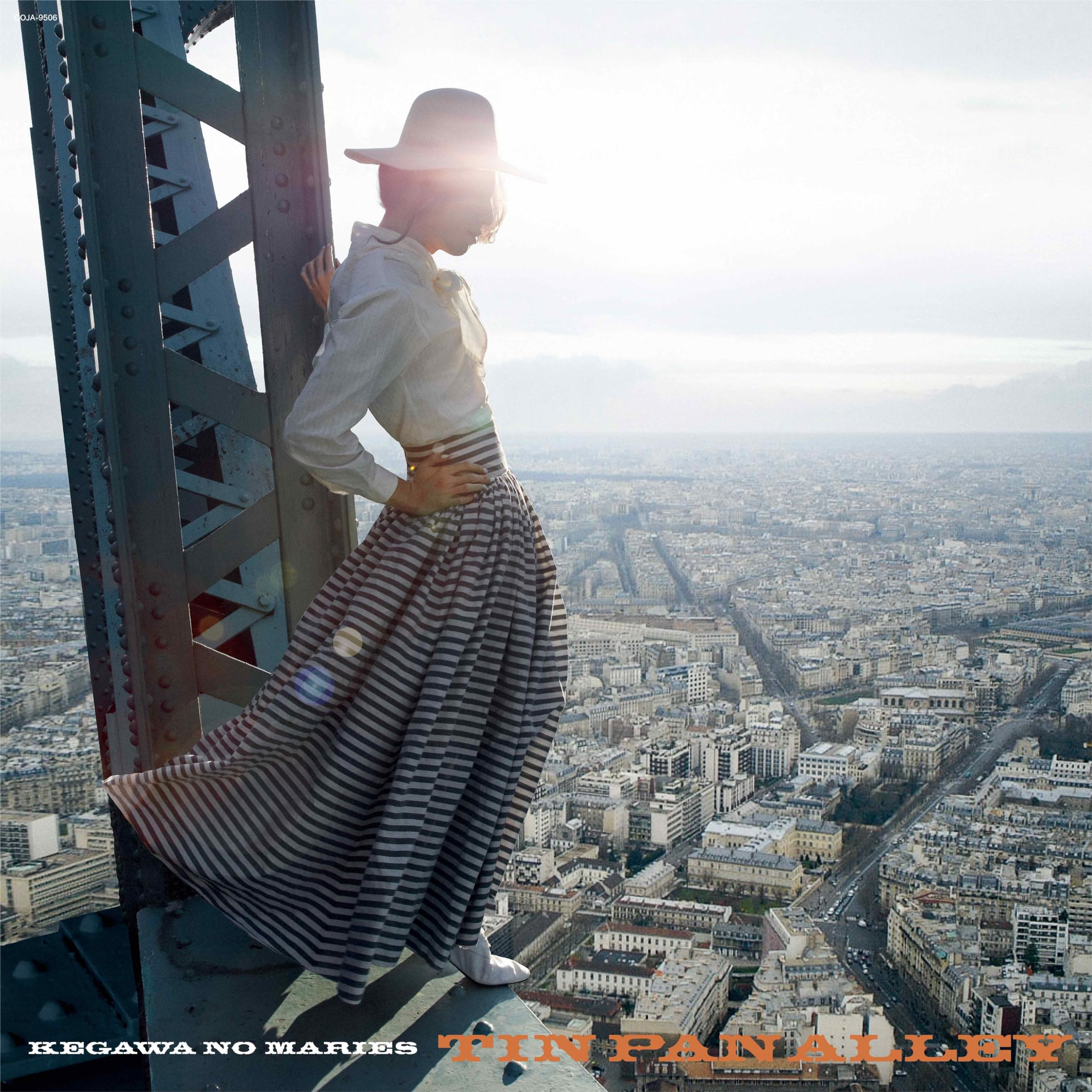 Amazon.co.jp: ティン・パン・アレイ - 毛皮のマリーズ [Analog