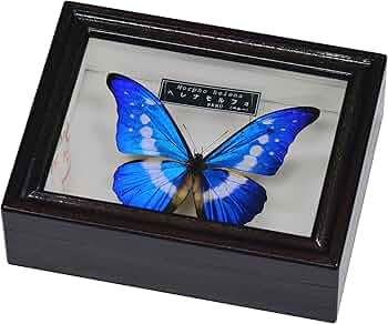 91XPBayo0AL._AC_UF350,