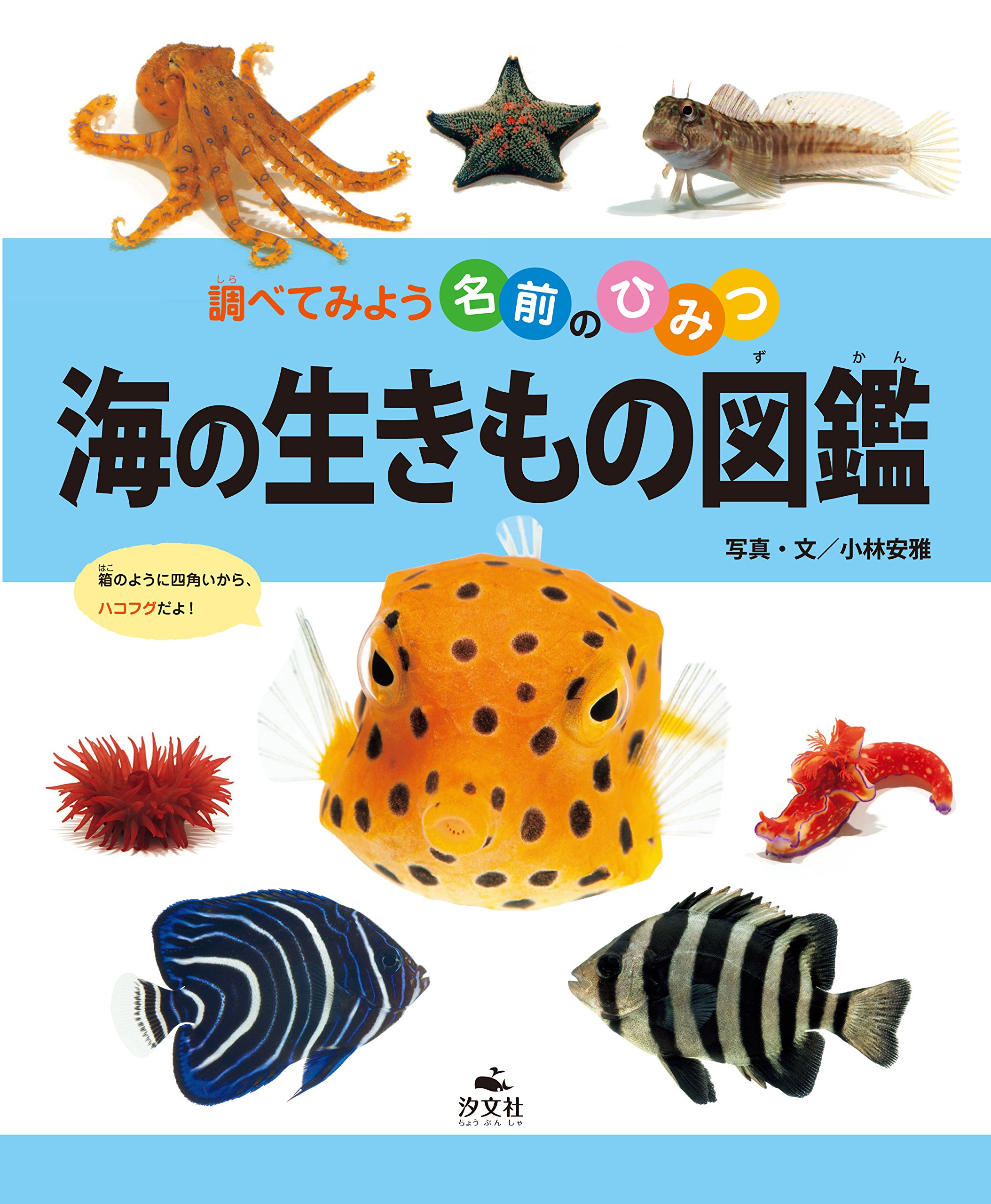 海の生きもの図鑑 (調べてみよう名前のひみつ) | 小林 安雅 |本 | 通販