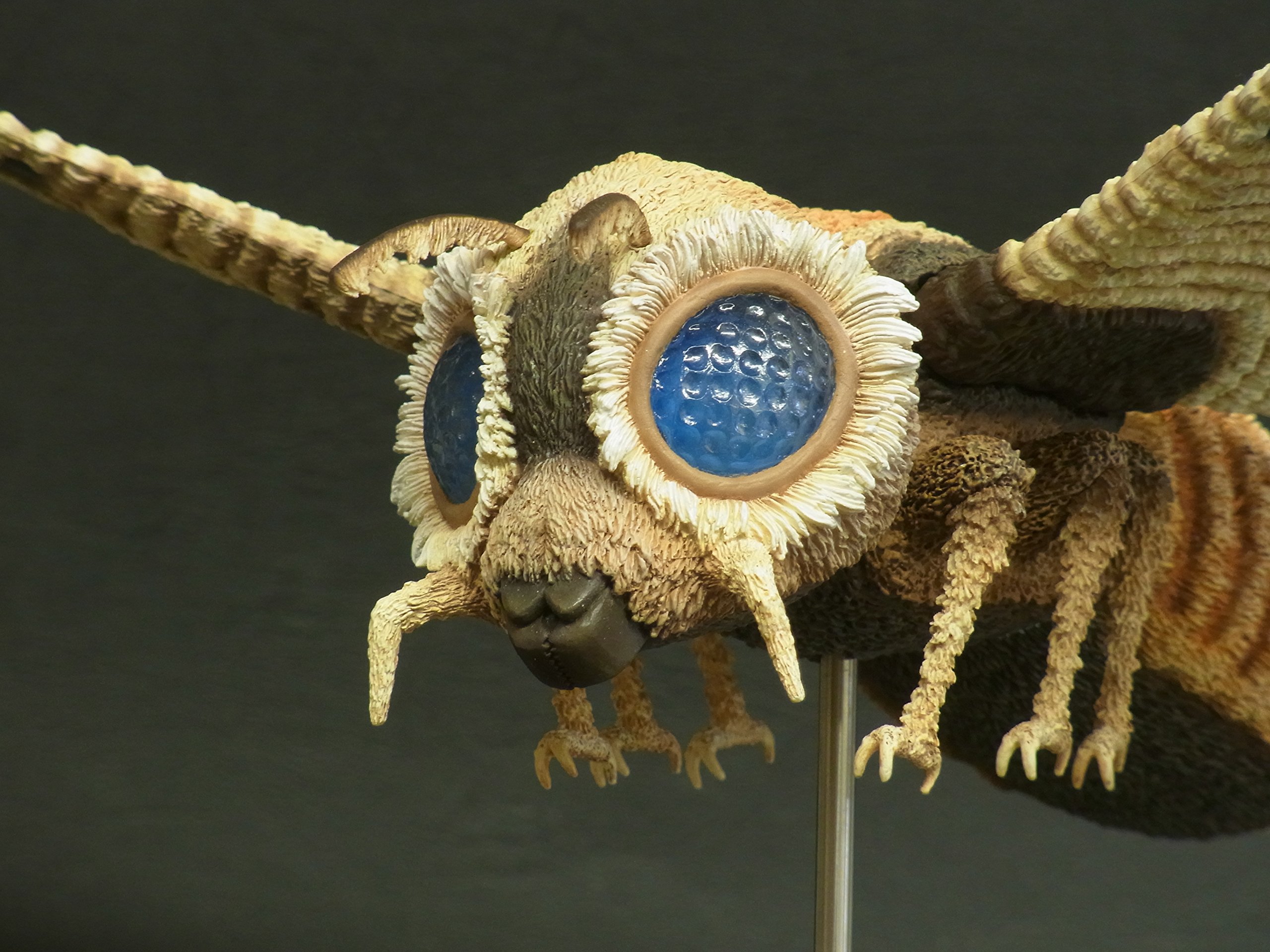 Amazon.co.jp: 東宝大怪獣シリーズ モスラ対ゴジラ モスラ (1964) 全幅