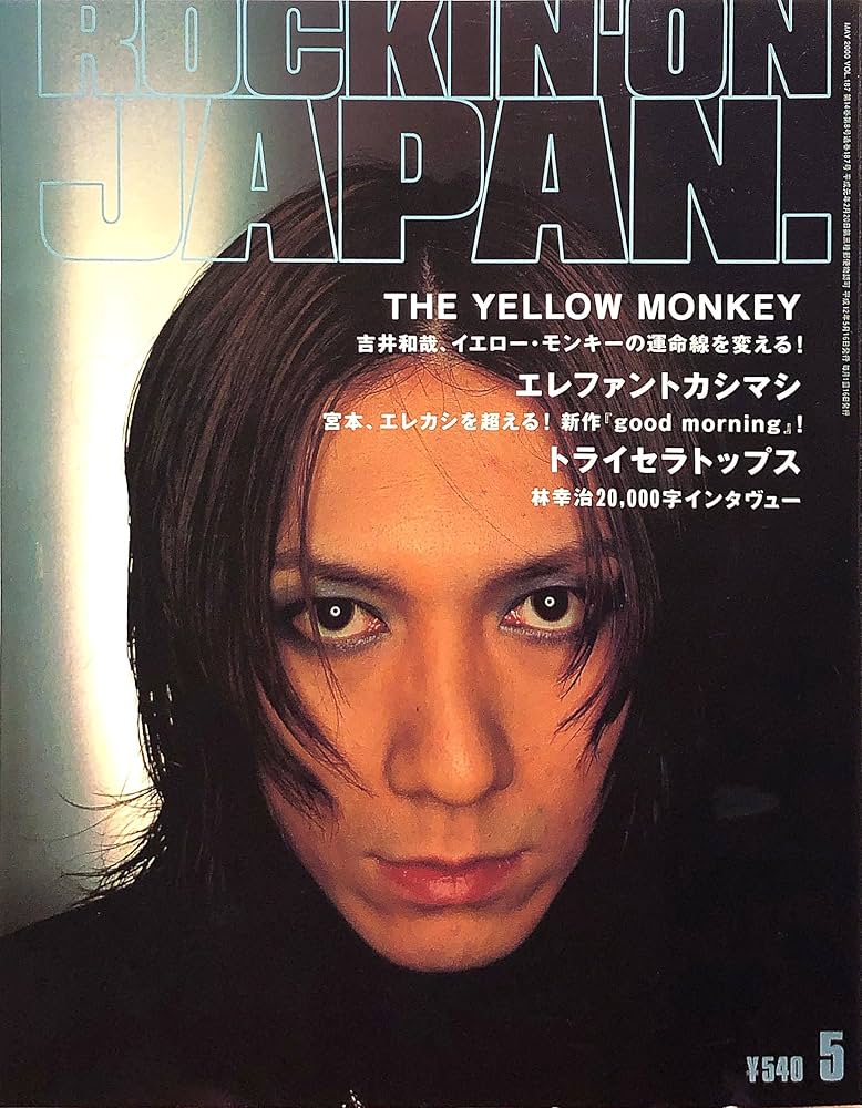 THE YELLOW MONKEY（吉井和哉）11作品セット THE YELLOW MONKEY（吉井