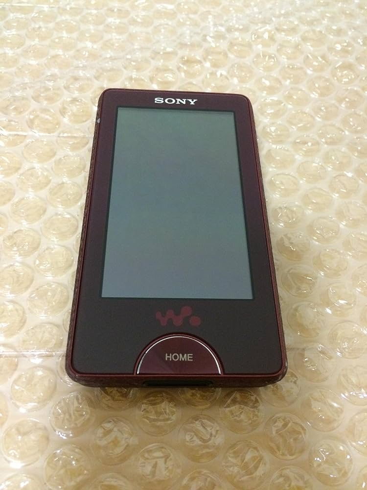 Amazon.co.jp: SONY ウォークマン Xシリーズ FM付 NC機能 ワンセグ