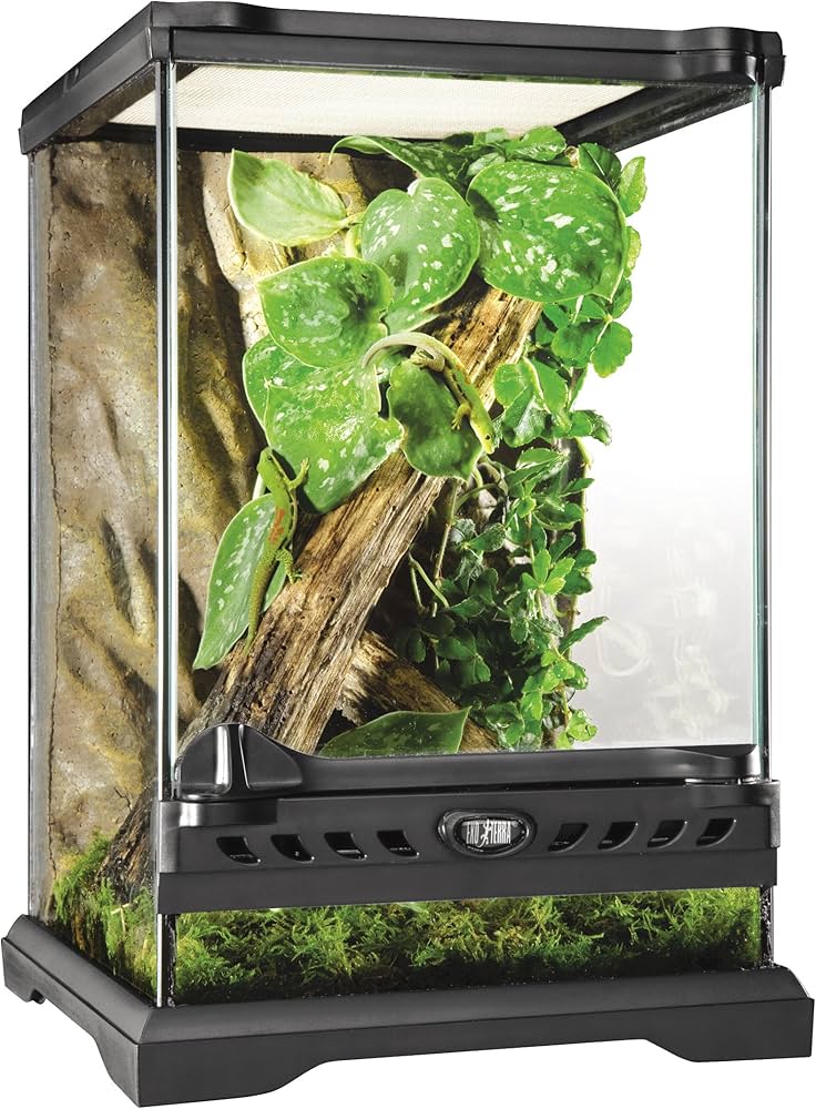 Amazon | ジェックス EXO TERRA (エキゾテラ) グラステラリウム ナノ