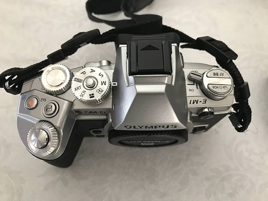 Amazon.com : OM SYSTEM Olympus OM-D E-M1 16MP Mirrorless Digital