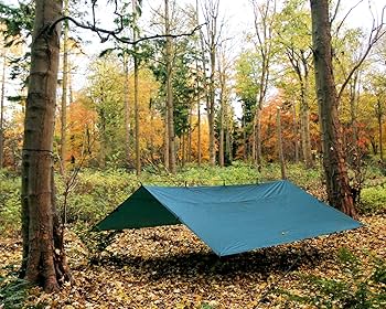 Amazon.com : DD Hammocks - DD Tarp 4x4 - Olive Green: 13ft x 13ft