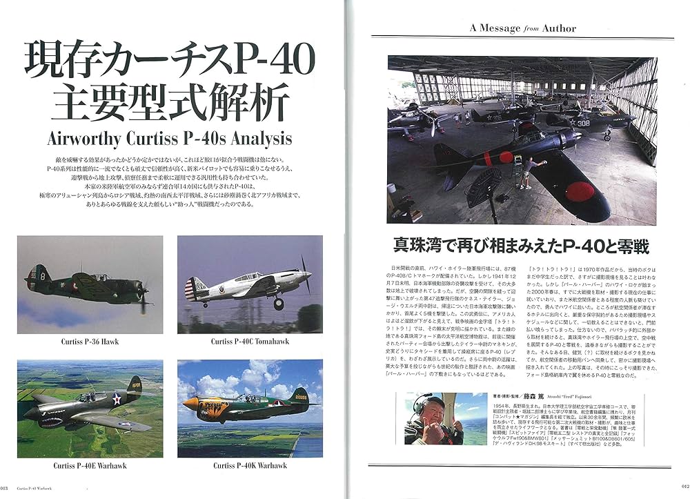 カーチスP-40ウォーホーク (エイムック 4543 第二次大戦機DVD