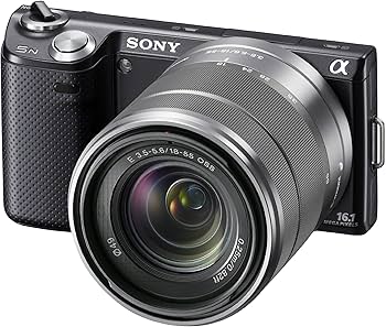 Amazon.com : Sony NEX-5N 16.1 MP Compact Interchangeable Lens