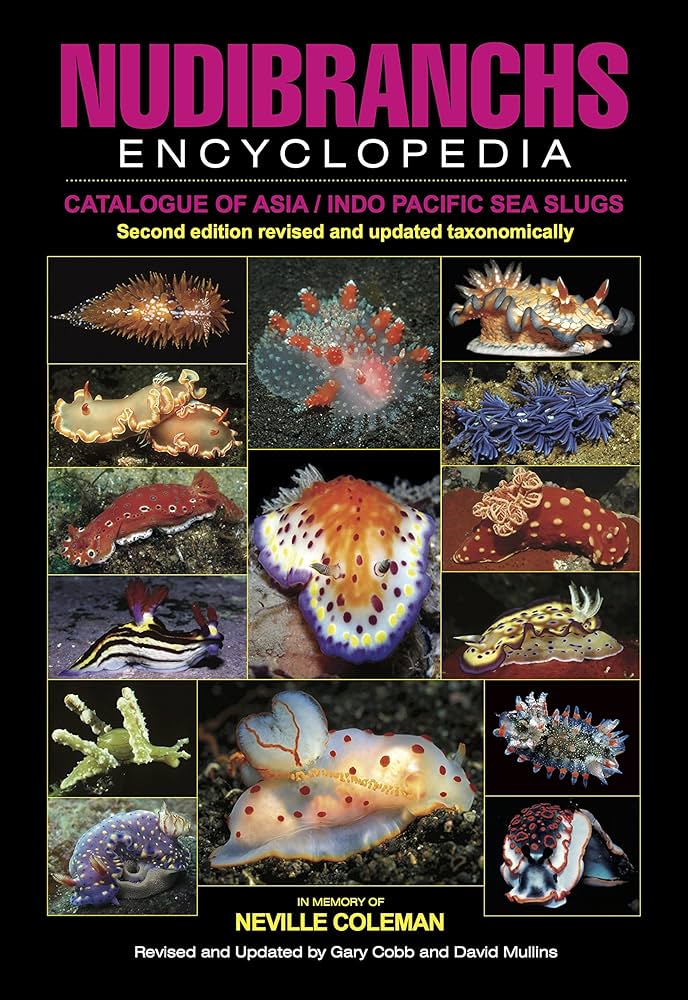 インド太平洋のウミウシ ガイドブック Nudibranchs 洋書 インド太平洋