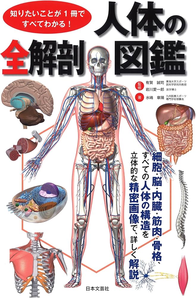 Amazon.co.jp: 知りたいことが1冊ですべてわかる 人体の全解剖図鑑