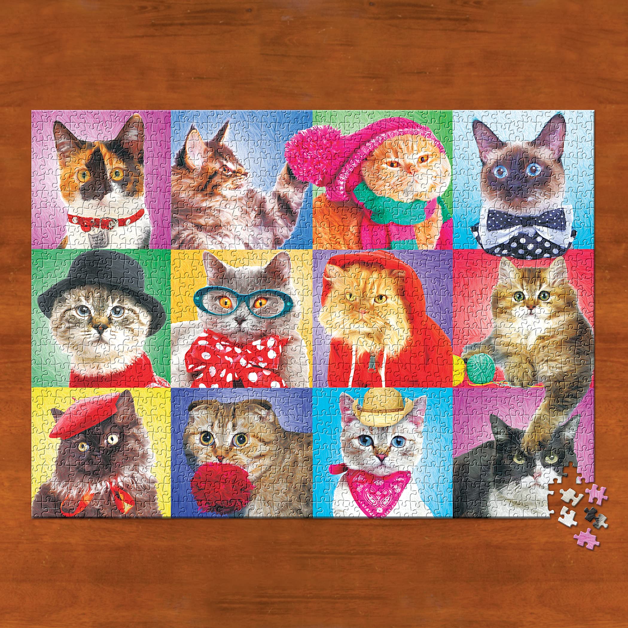 Amazon.com: Silly Cats Family Puzzle 300pc : Eurographics: Toys