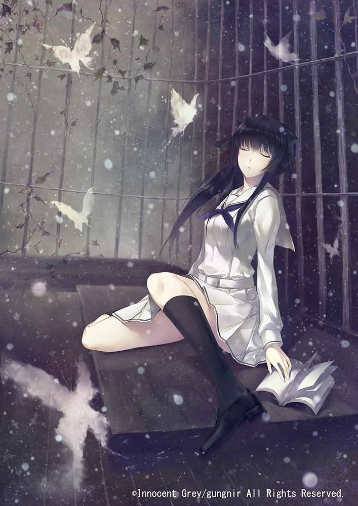 Amazon.co.jp: 虚ノ少女 初回限定版 : PCソフト