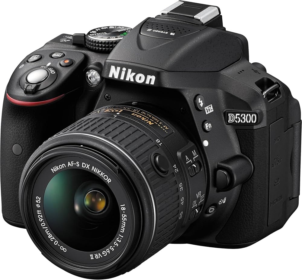 Amazon | Nikon D5300 24.2 MP CMOS Digital SLR Camera with Built-in