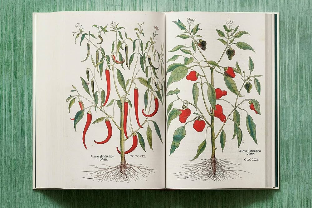 Leonhart Fuchs. The New Herbal: Fuchs, Leonhart, Dobat, Klaus