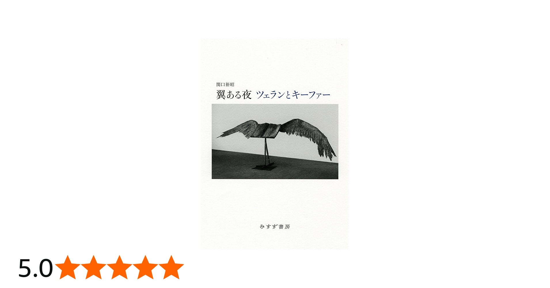Amazon.co.jp: 翼ある夜 ツェランとキーファー : 関口 裕昭: 本