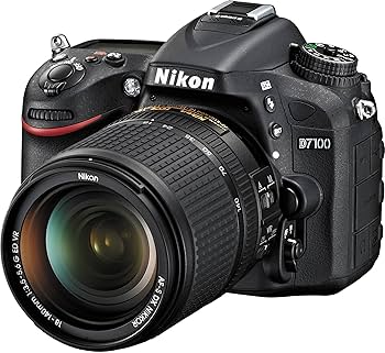 Amazon.com : Nikon D7100 24.1 MP DX-Format CMOS Digital SLR with