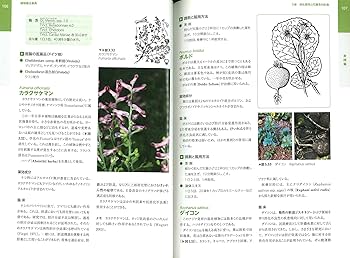 植物療法(フィトセラピー)事典 ペーパーバック普及版 | フォルカー