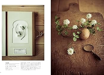 91iIZrsW6SL._AC_UF350,