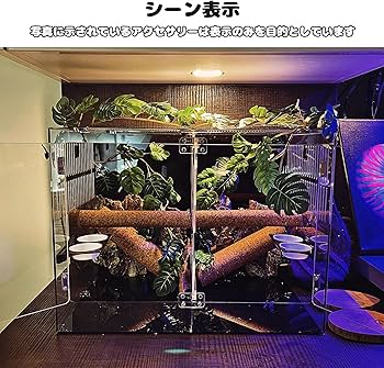 Amazon | 40cm30cm30cm爬虫ケージ 中間仕切り付き2匹のペットを隔離