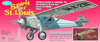 91jNMpNgs8L._AC_UF350,