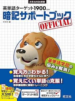 91kO8A1YGRL._AC_UF350,