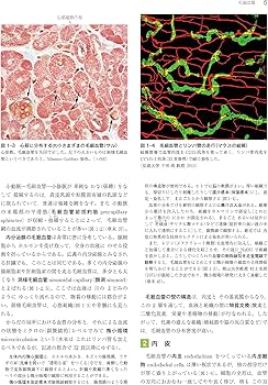 標準組織学 各論 第5版 | 藤田 尚男 |本 | 通販 | Amazon