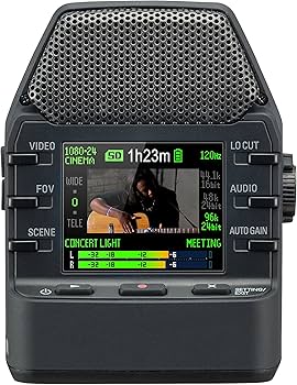 Amazon.com: Zoom Q2n Zoom Handy Video Recorder (Black) : Electronics