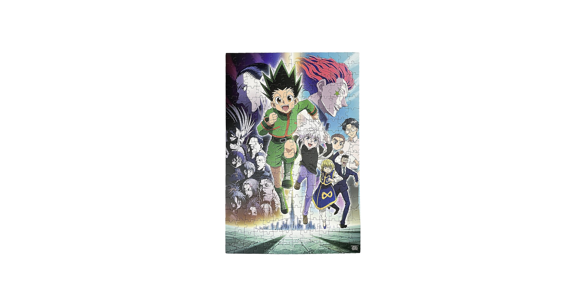 Amazon.com: Paladone Hunter x Hunter 250pc Jigsaw Puzzle, 46cm