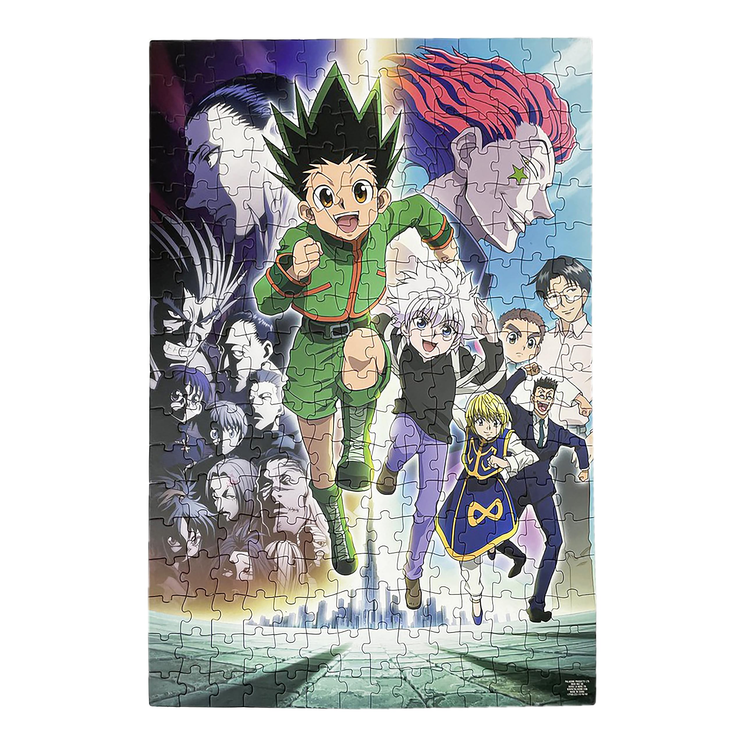 Amazon.com: Paladone Hunter x Hunter 250pc Jigsaw Puzzle, 46cm