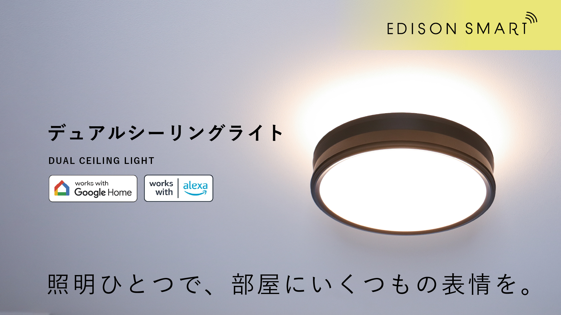 Amazon.co.jp: Edison Smart Dual Ceiling Light (For Hanging Ceiling