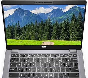Amazon.com: Dell Latitude 5310 13.3