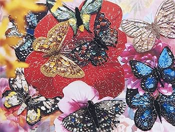 もうひとつの場所 | 清川 あさみ |本 | 通販 | Amazon