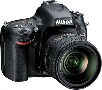 Amazon.com : Nikon D600 24.3 MP CMOS FX-Format Digital SLR Camera
