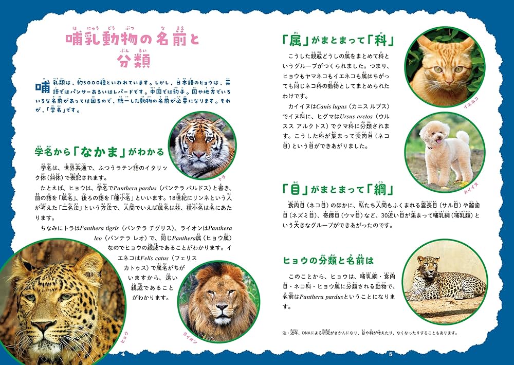 Amazon.com: 動物No.1図鑑: 9784866513546: 藤原尚太郎: Books