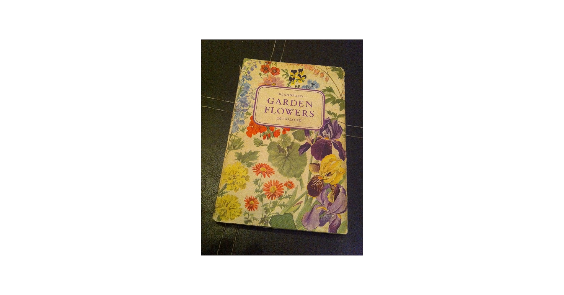 Garden Flowers in Colour: Eigil Kiaer, Verner Hancke, H.G. Witham