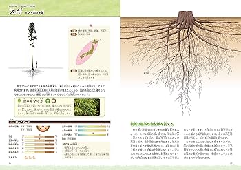 91pVwUlZYnL._AC_UF350,