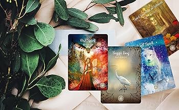 Amazon | I.I.J オラクルカード セイクレッド・フォレスト・オラクル