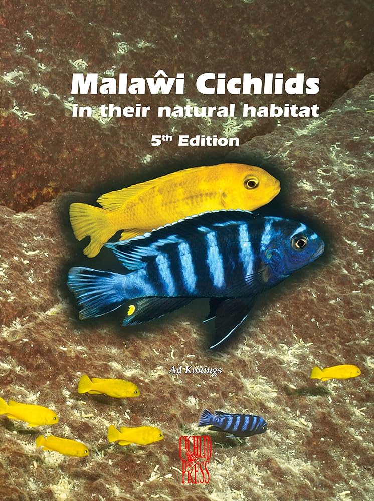 Amazon.com: Malawi Cichlids in their Natural Habitat, New 5th