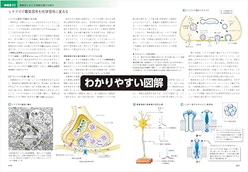 カラー図解 人体の正常構造と機能 【全10巻縮刷版】 改訂第5版 | 坂井