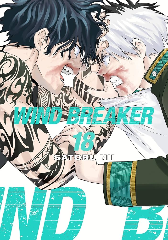 WIND BREAKER 18: Nii, Satoru: 9781646519651: Amazon.com: Books