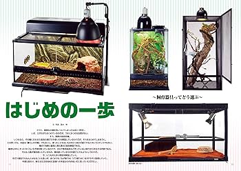 ビバリウムガイド No.105 2024年 6月号 飼育器具ってどう選ぶ？はじめ