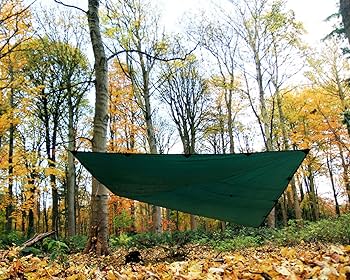 Amazon | DD Hammocks DD タープ 4×4 (オリーブグリーン) | DD