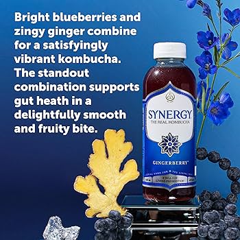 Amazon.com: SYNERGY The Real Kombucha - Gingerberry - 16 fl oz