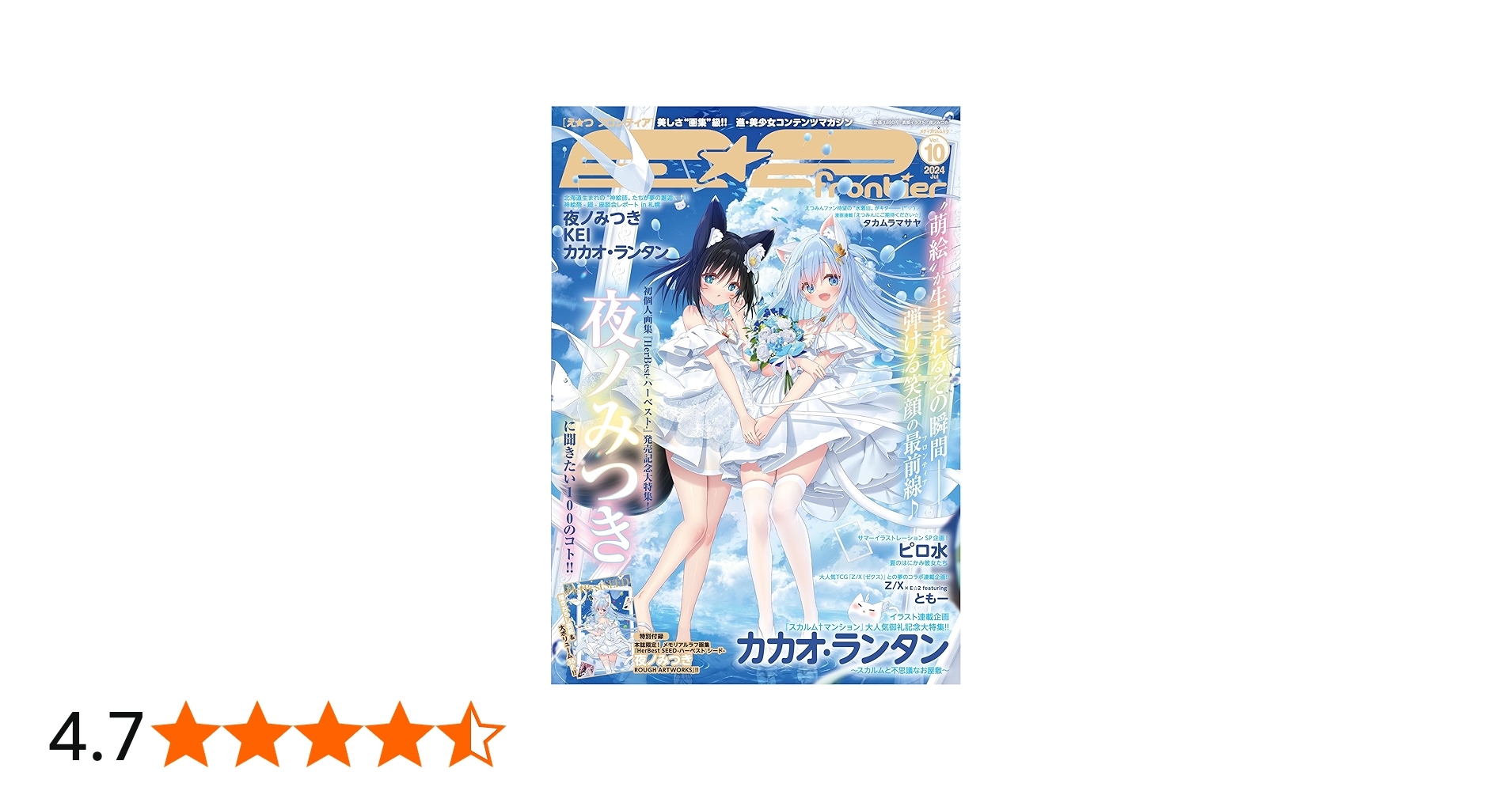 Amazon.co.jp: E☆2(えつ) frontier Vol.10 (メディアパルムック) : 本