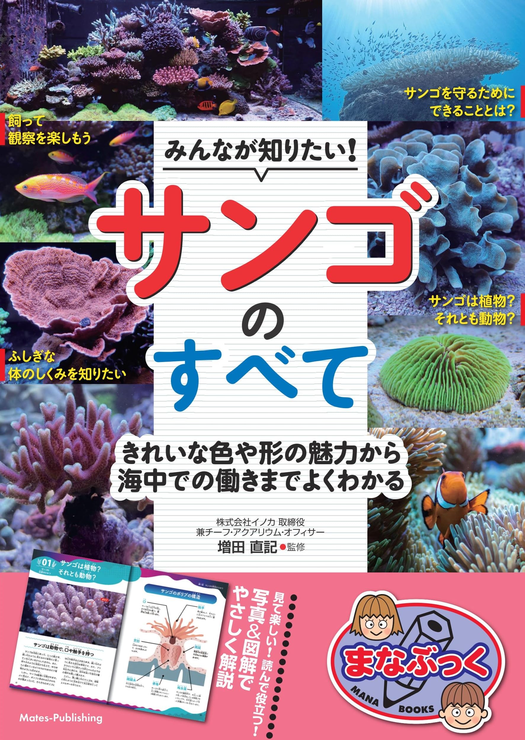 みんなが知りたい! サンゴのすべて きれいな色や形の魅力から海中での