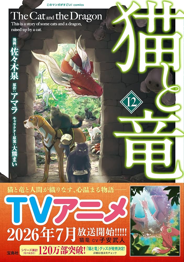 猫と竜12 (このマンガがすごい! comics) | 佐々木 泉, アマラ, 大熊