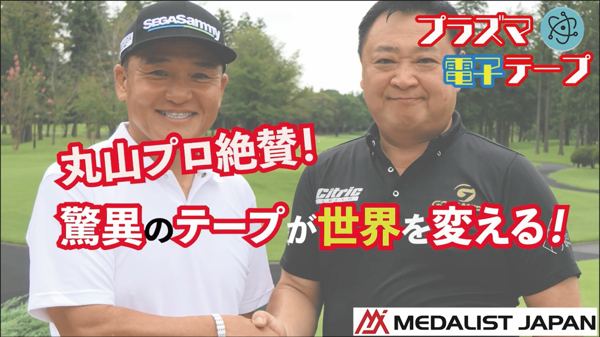 Amazon.co.jp: 世界の丸山茂樹プロが大絶賛！ プラズマ電子パッチ 天然